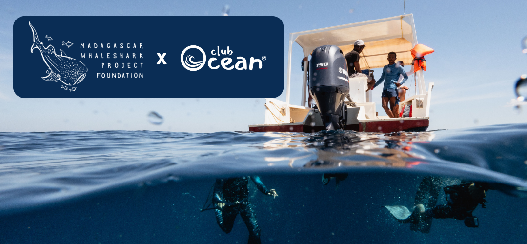 Partenariato con lo squalo balena del Madagascar 🌊