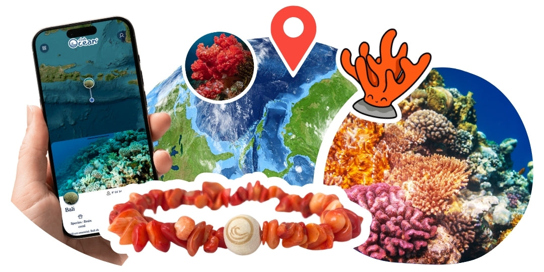 Korall restaurációs karkötő