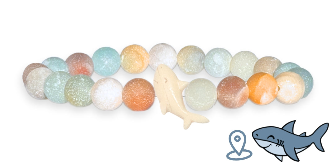 Shark Tracking Bracelet