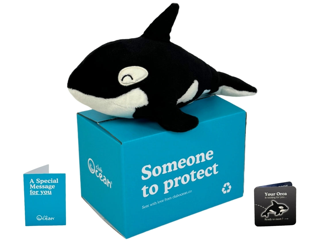Orca Plüschtier