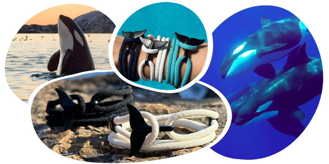 Bracelet de Suivi Orque