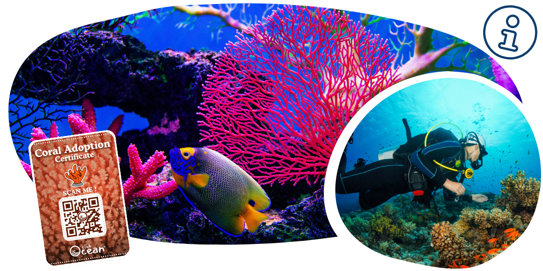 Korall restaurációs karkötő