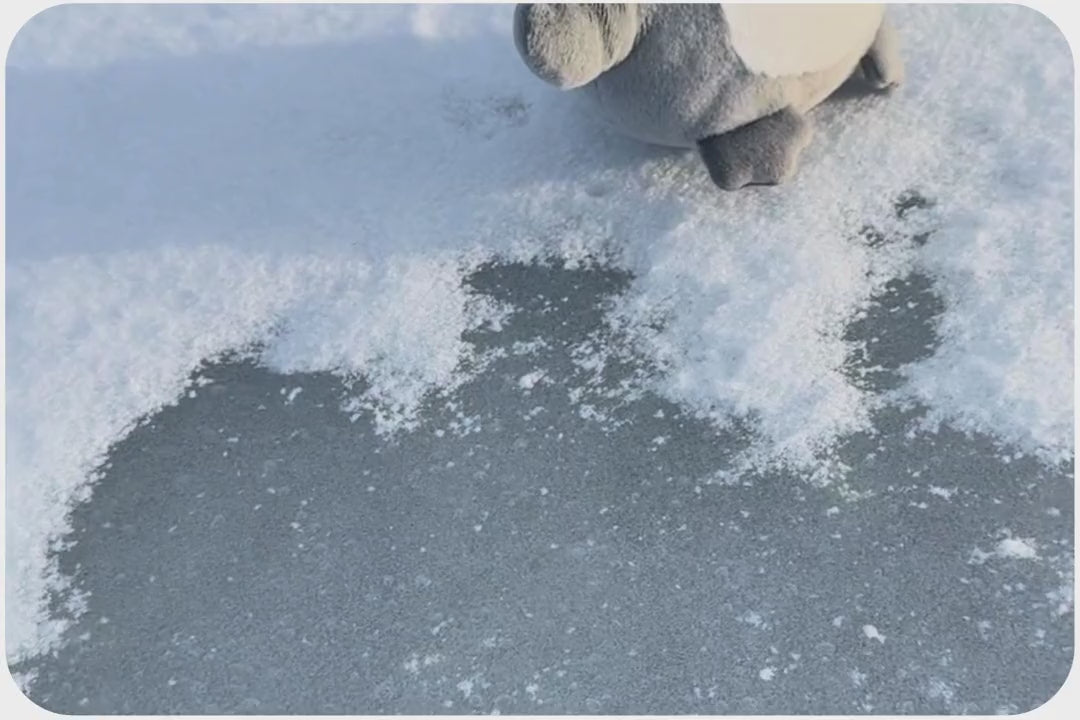 Load and play video in Gallery viewer, Penguin Adoption Plushie