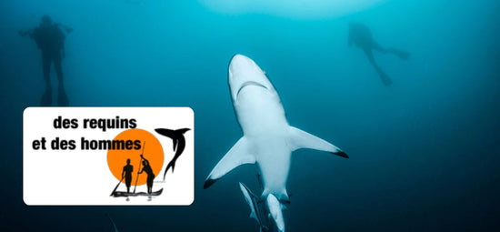 Des Requins et des Hommes (Spende)