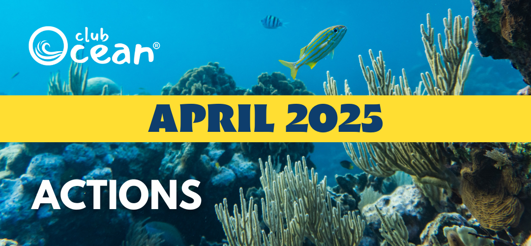 APRIL 2025 - ClubOcean®-Aktionen