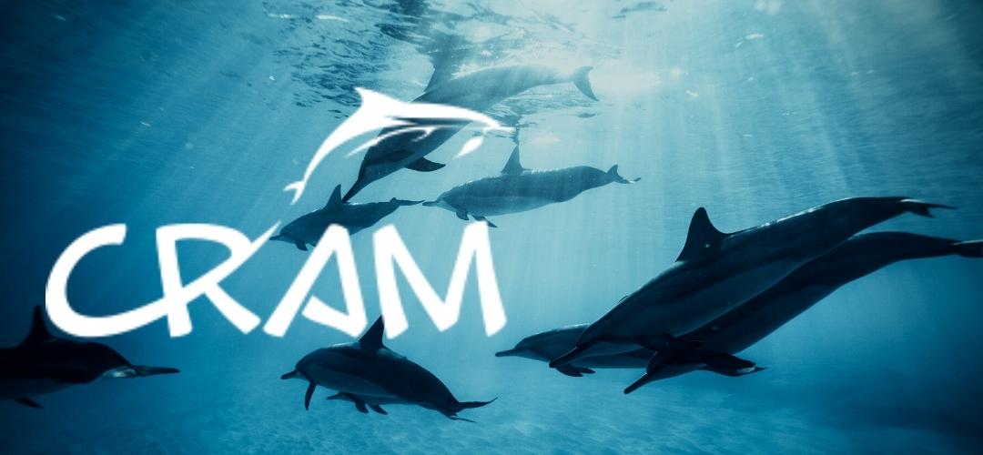C.R.A.M Fundación (Spende)