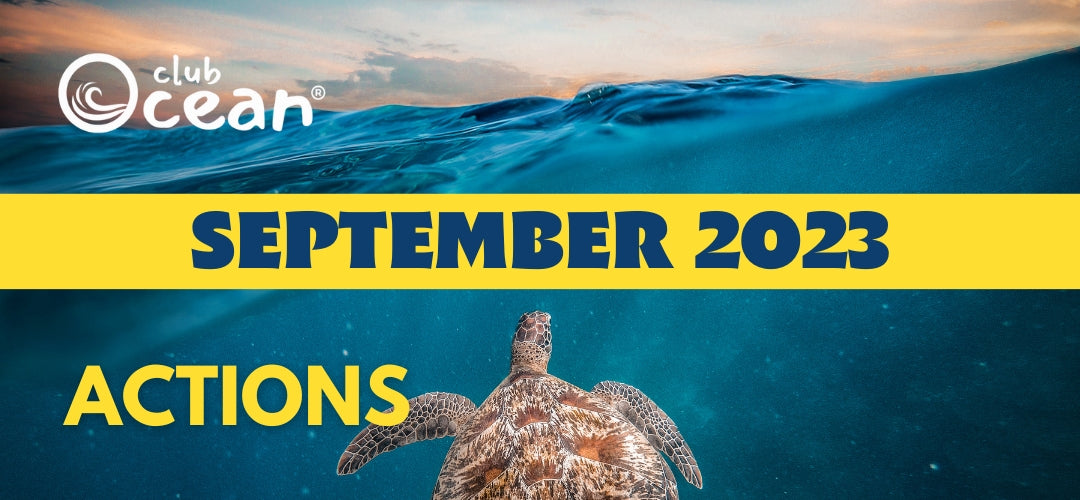 SEPTEMBER 2023 - ClubOcean® Actions