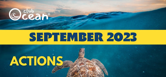 SEPTEMBER 2023 - ClubOcean® Actions