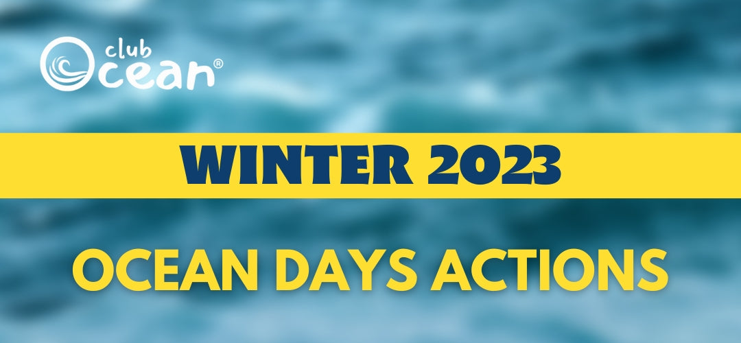 WINTER 2023 - Ozeanische Tage ClubOcean