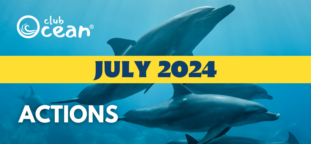 JULI 2024 - ClubOcean®-Aktionen