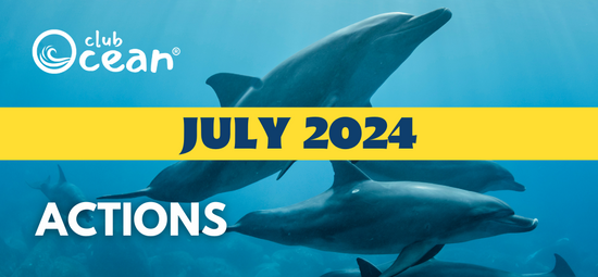 JULI 2024 - ClubOcean®-Aktionen