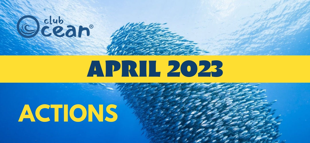 APRIL 2023 - ClubOcean®-Aktionen