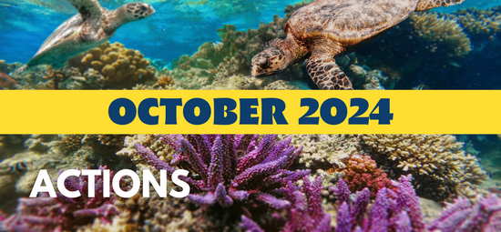OCTOBER 2024 - ClubOcean® Actions