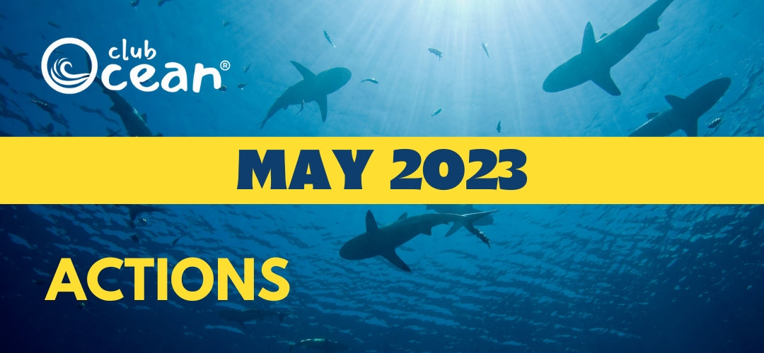 MAI 2023 - ClubOcean®-Aktionen