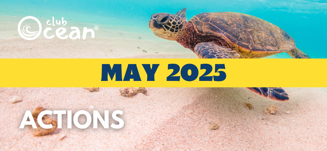 MAY 2025 - ClubOcean® Actions