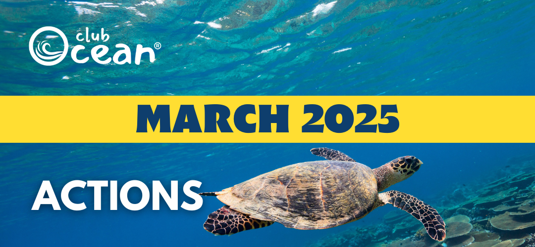 MÄRZ 2025 - ClubOcean®-Aktionen