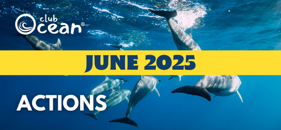 JUNIO 2025 - Acciones ClubOcean