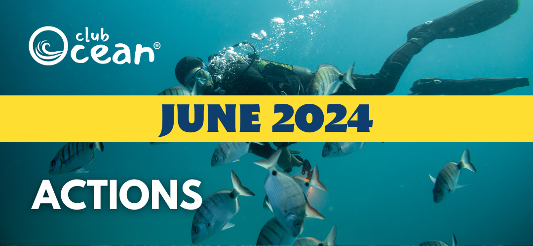 JUNI 2024 - ClubOcean®-Aktionen