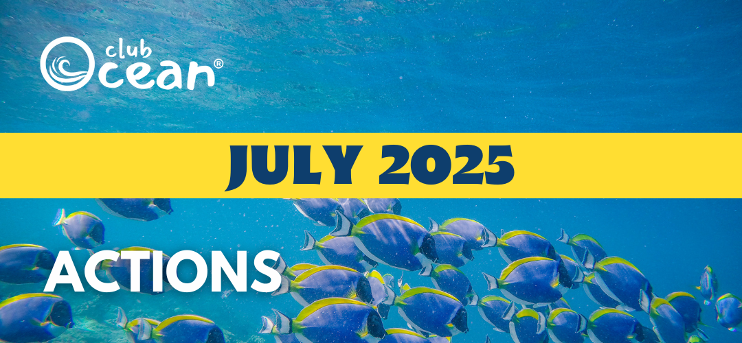 JULIO 2025 - Acciones ClubOcean