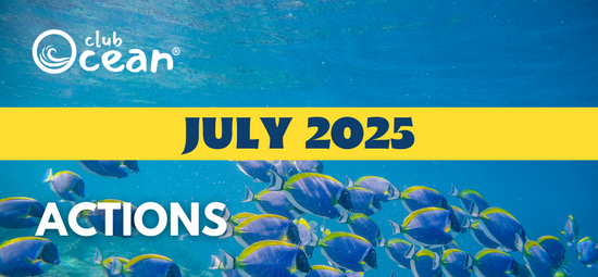 JULIO 2025 - Acciones ClubOcean