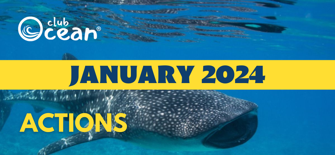 JANUAR 2024 - ClubOcean®-Aktionen