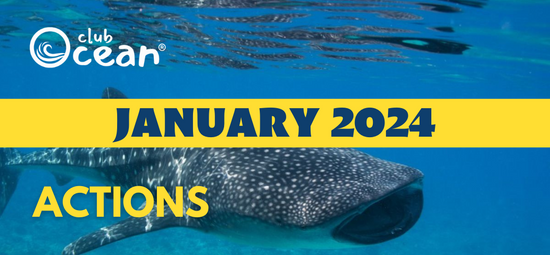 JANUAR 2024 - ClubOcean®-Aktionen