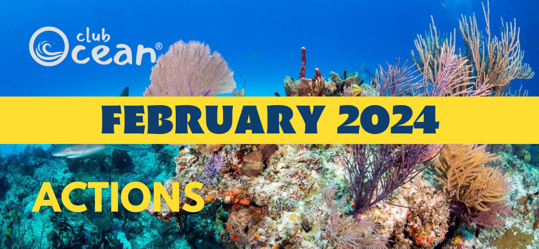 FEBRUAR 2024 - ClubOcean®-Aktionen