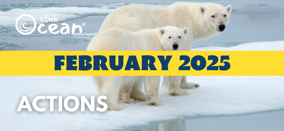 FEBRUAR 2025 - ClubOcean®-Aktionen
