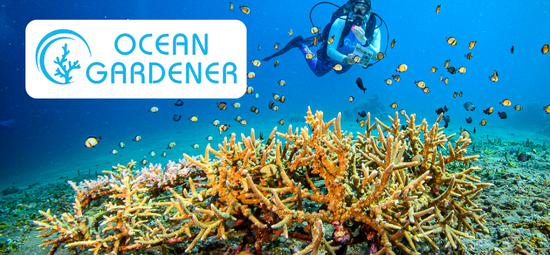 Ocean gardner (ochrona rafy koralowej)