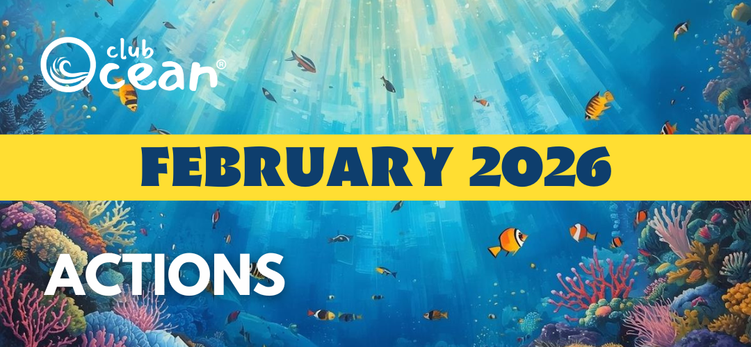 FEBRUAR 2025 – ClubOcean®-tiltag