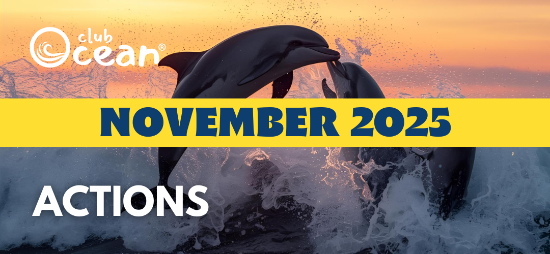 NOVEMBER 2025-ClubOcean® Actions