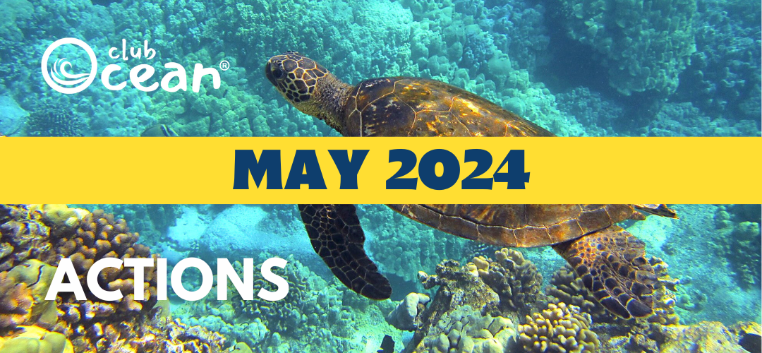 Maggio 2024 - Azioni ClubOcean