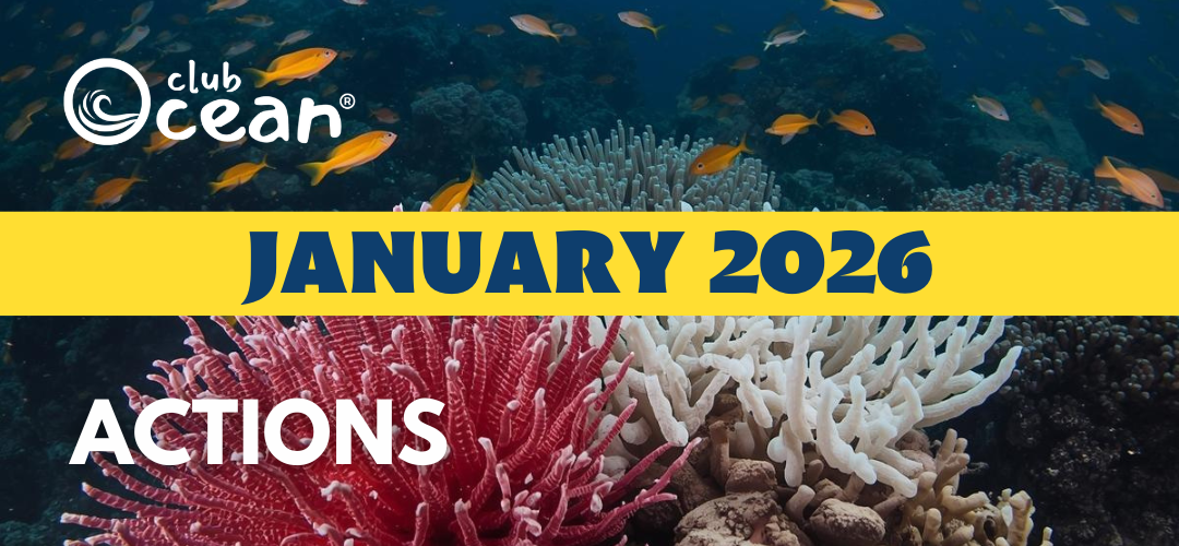 JANUAR 2026 – ClubOcean®-tiltag