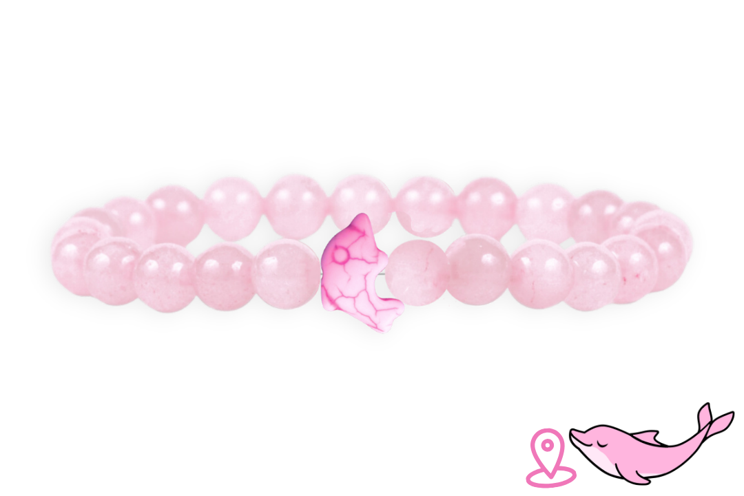 Bracelet de Suivi Dauphin