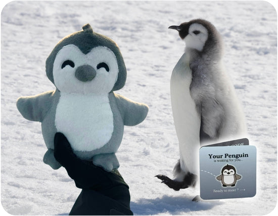 Pinguïn knuffel