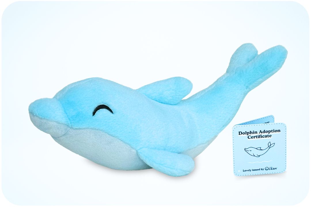 Delphin Adoption Plüschtier