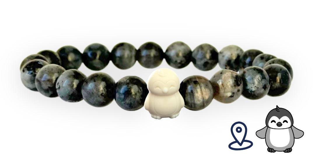 Penguin Paua Necklace - Seashell Story Kaikoura Penguin Paua Necklace - Seashell Story Kaikoura