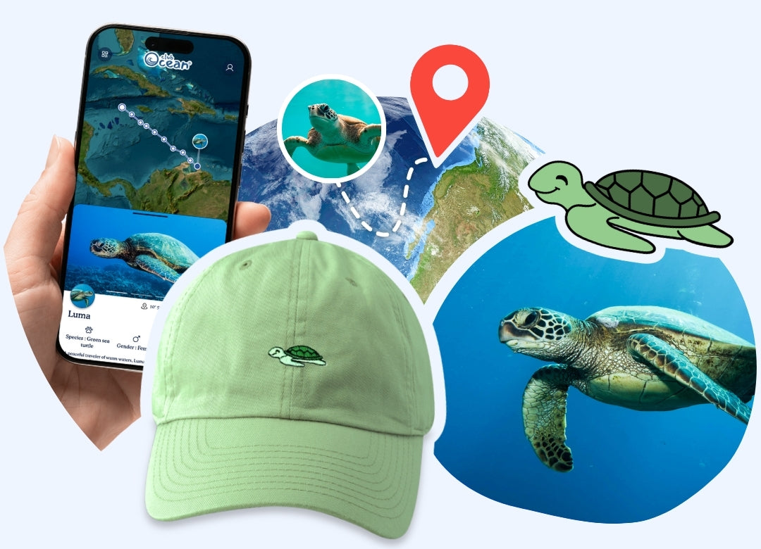 Turtle Adoption Cap