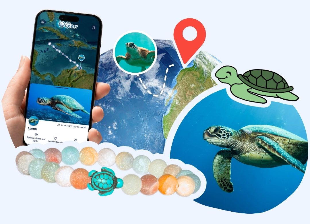 Turtle Tracking Bracelet – ClubOcean
