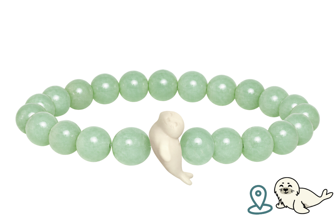 Animal Tracking Bracelet 🎃