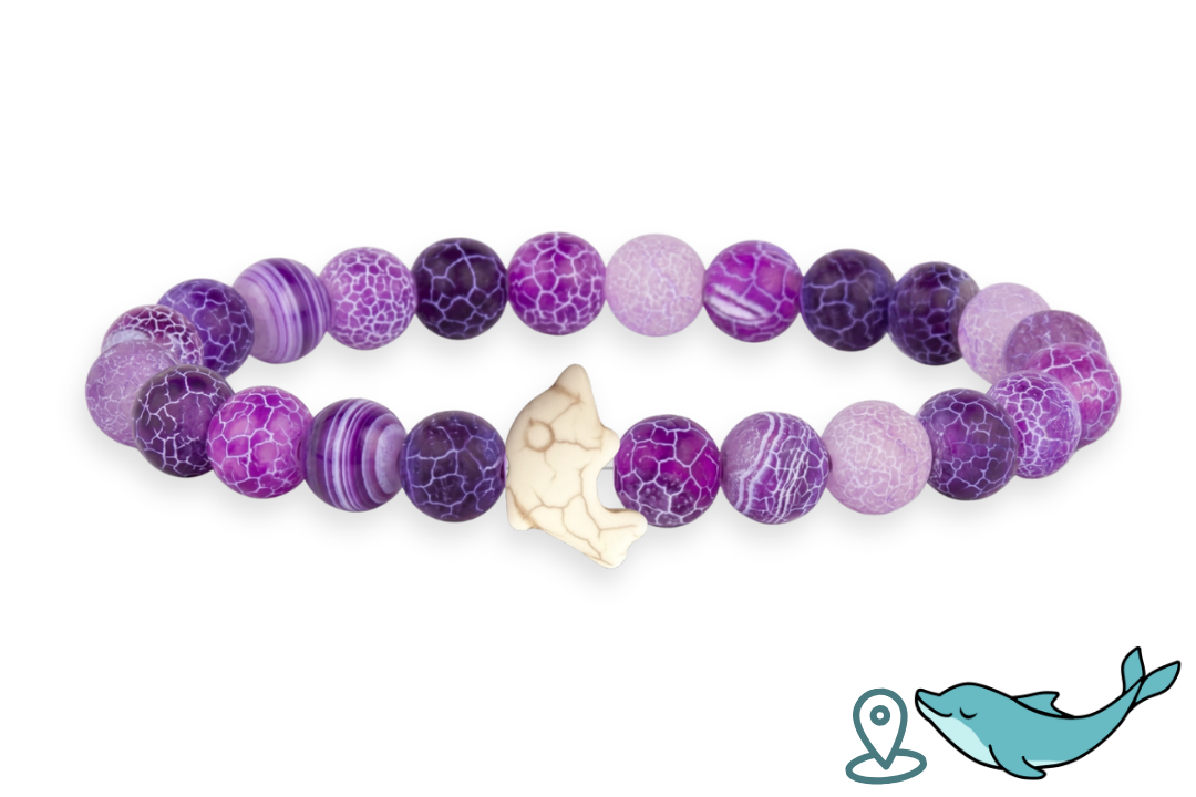 Bracelet de Suivi Dauphin