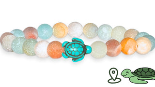 Turtle Tracking Bracelet