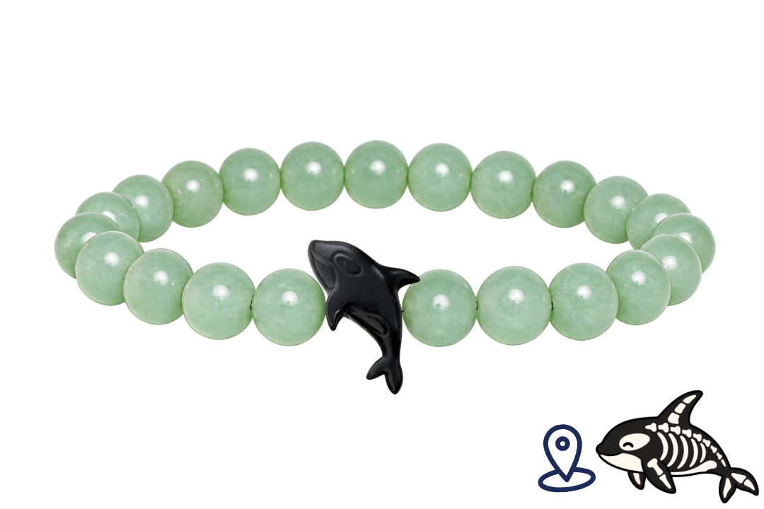 Orca Tracking Bracelet
