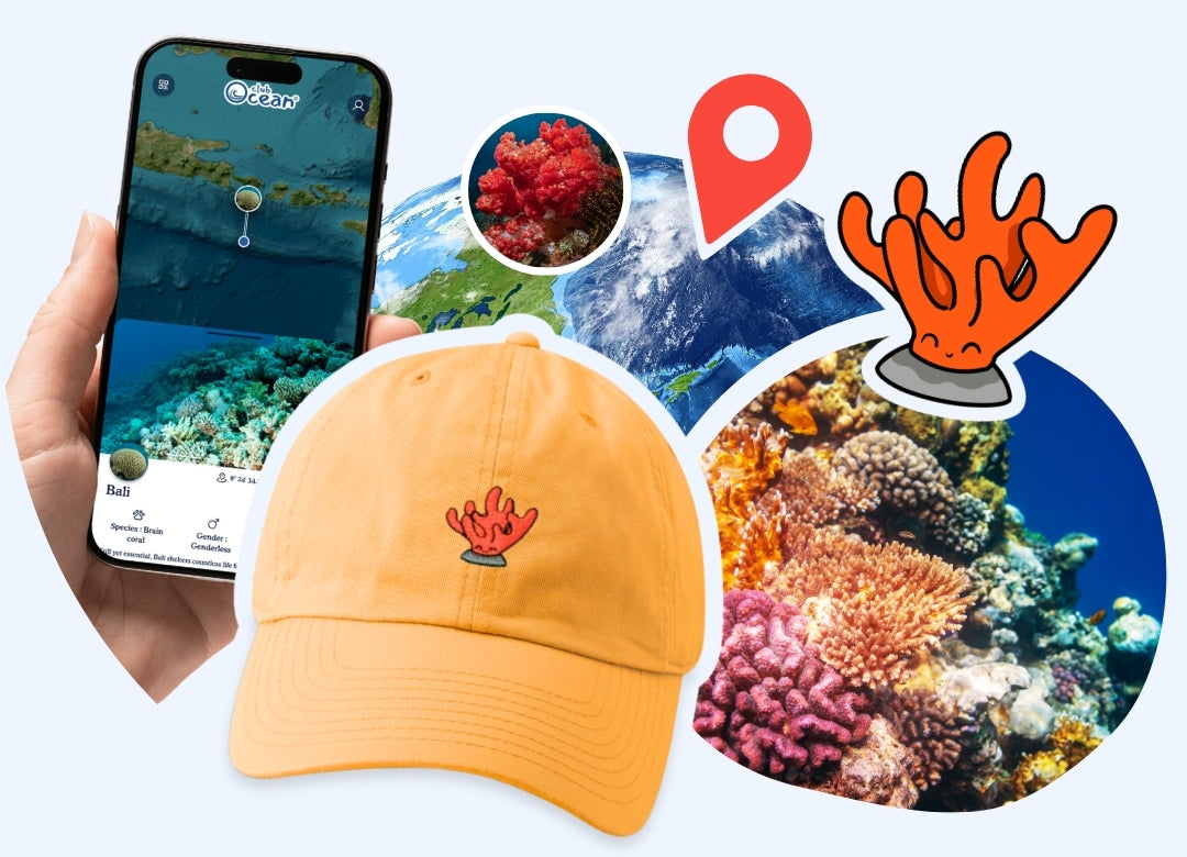 Gorra de adopción Coral