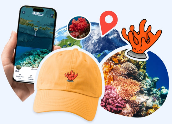 Gorra de adopción Coral