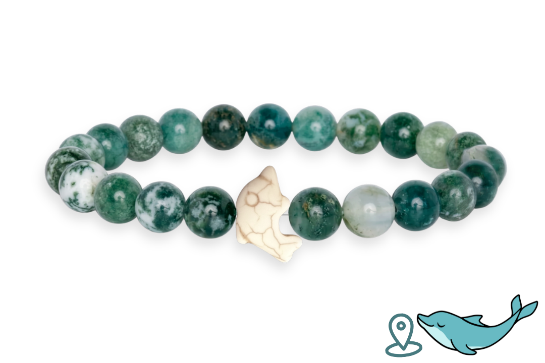 Bracelet de Suivi Dauphin