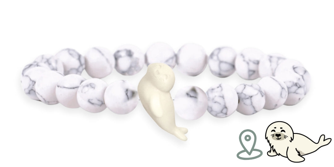 Home page – ClubOcean