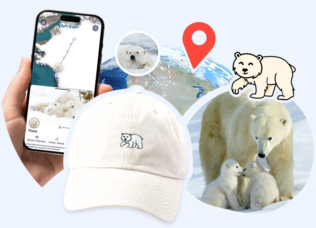 Polar Bear Adoption Cap