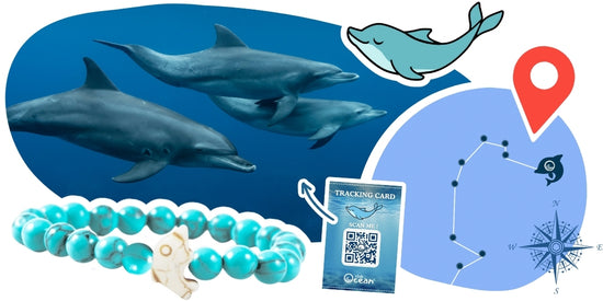 Bracciale con tracciamento dei delfini