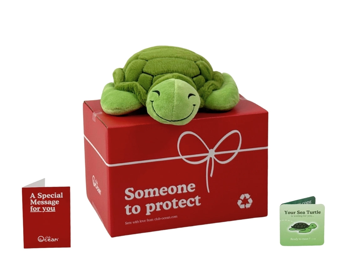 Pluszak żółwia morskiego
